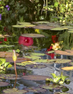 Giverny II : Nature photography on a botanical subject