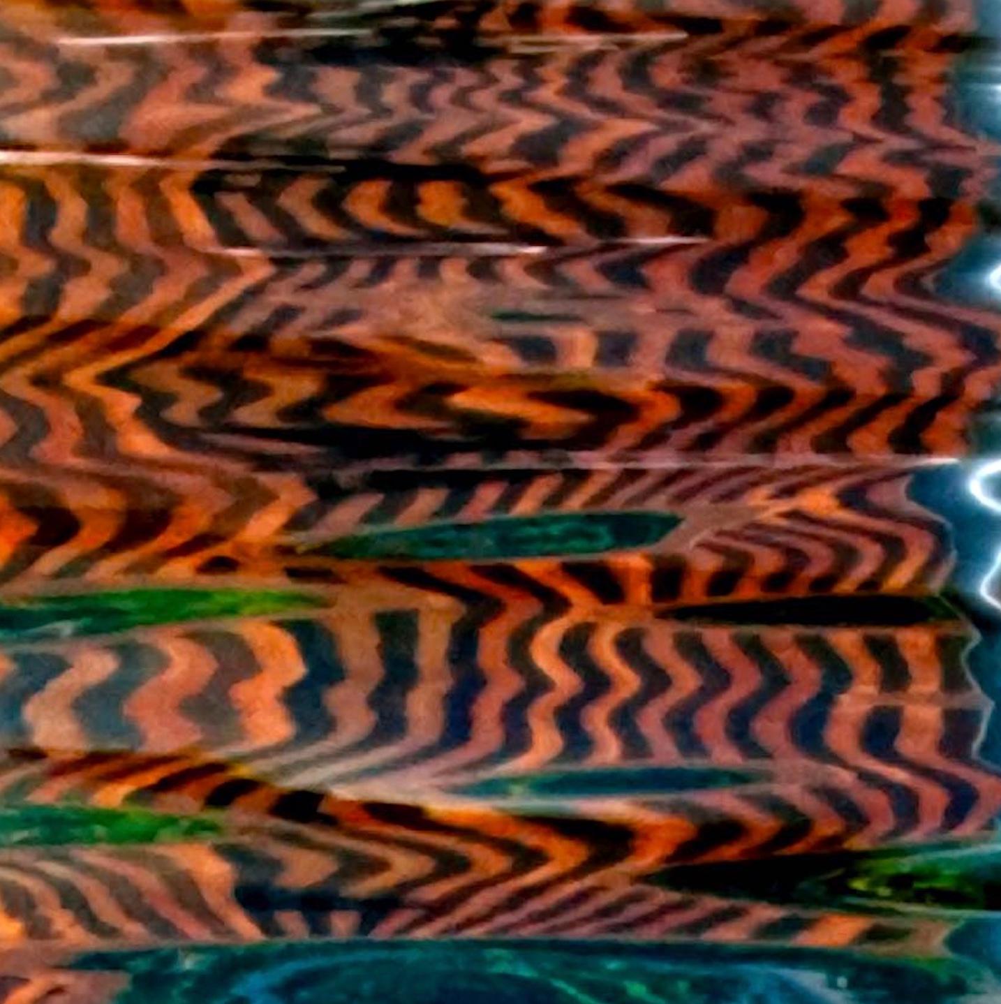 Roslyn Meyer’s lens plays on the surface of soft undulating ripples; reflecting sky, flora and fauna, as well as the man-made world. These abstract images are chameleon-like, masquerading as psychedelic Pop art, television static, and even the