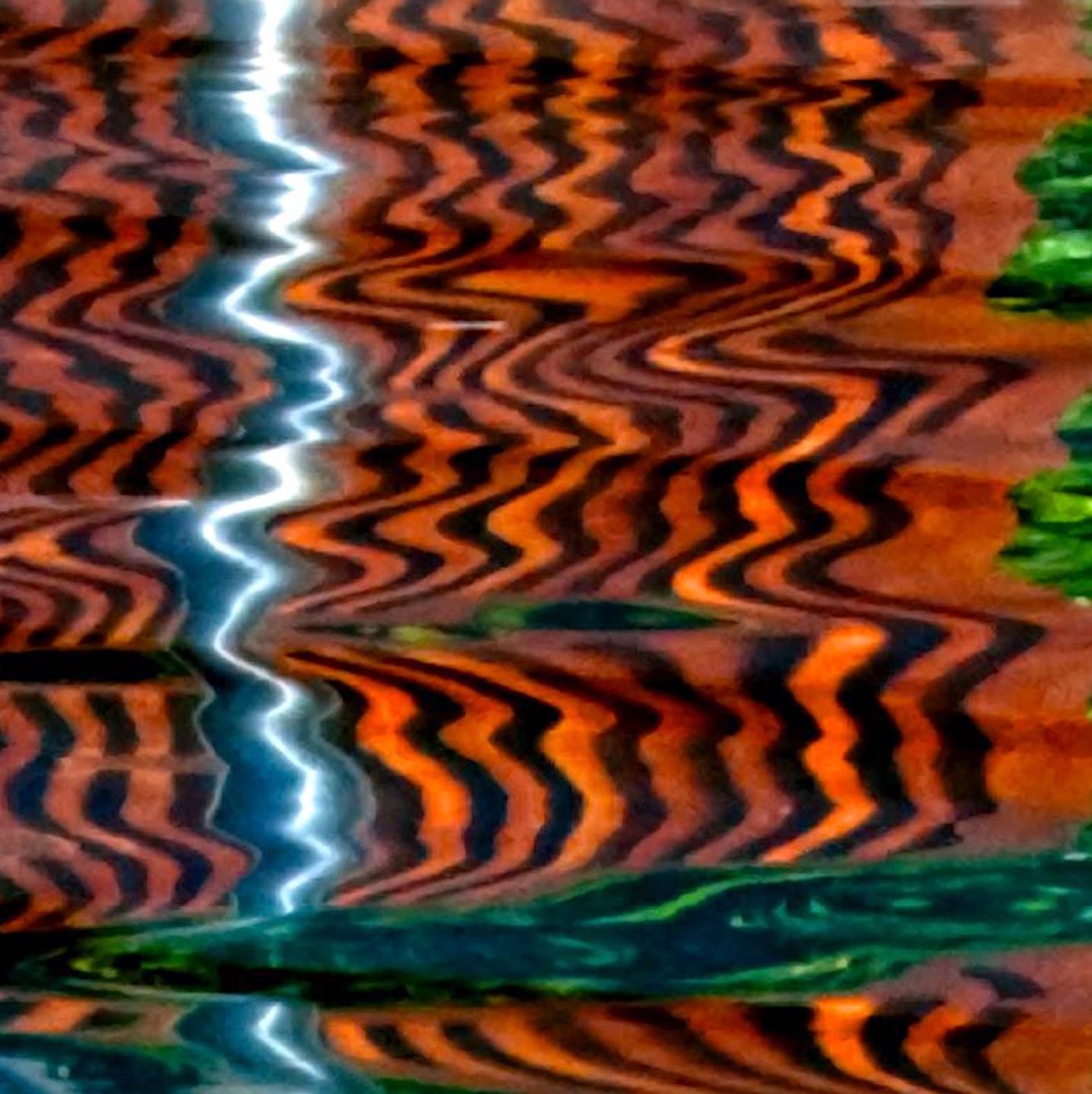 Tiger V : Abstract archival pigment print For Sale 1