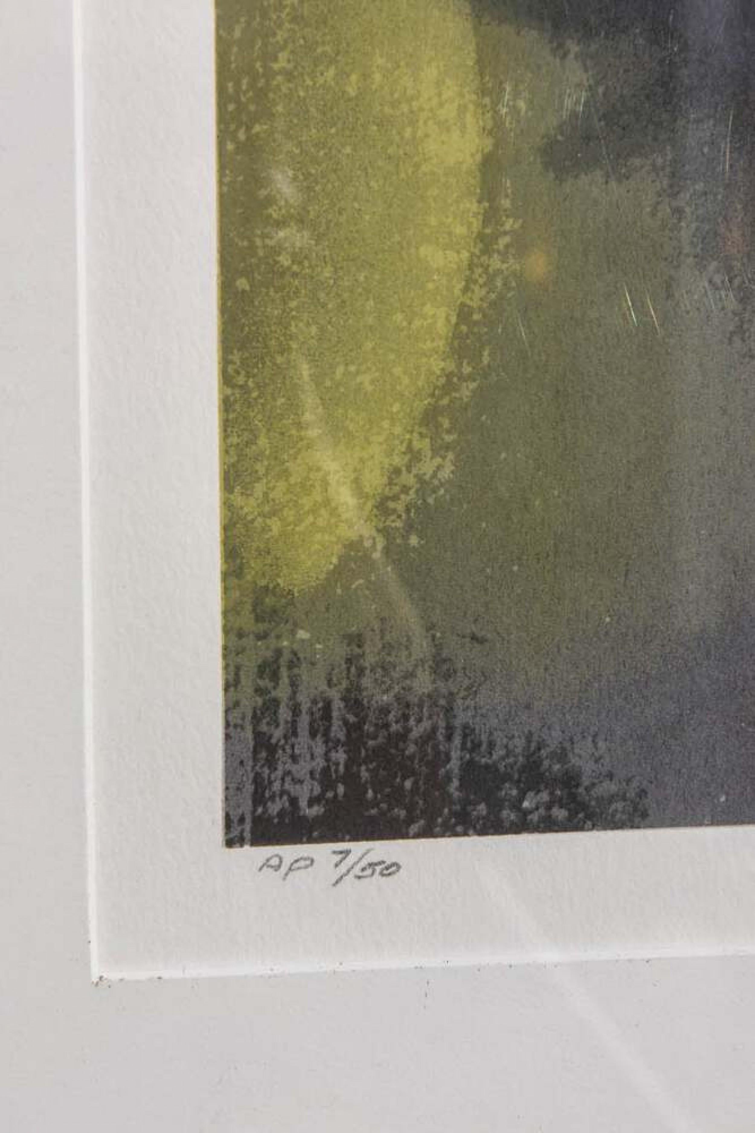 Ross Bleckner Amerikanischer gerahmter abstrakter Siebdruck auf Papier aus der Mitte des Jahrhunderts (Moderne der Mitte des Jahrhunderts) im Angebot