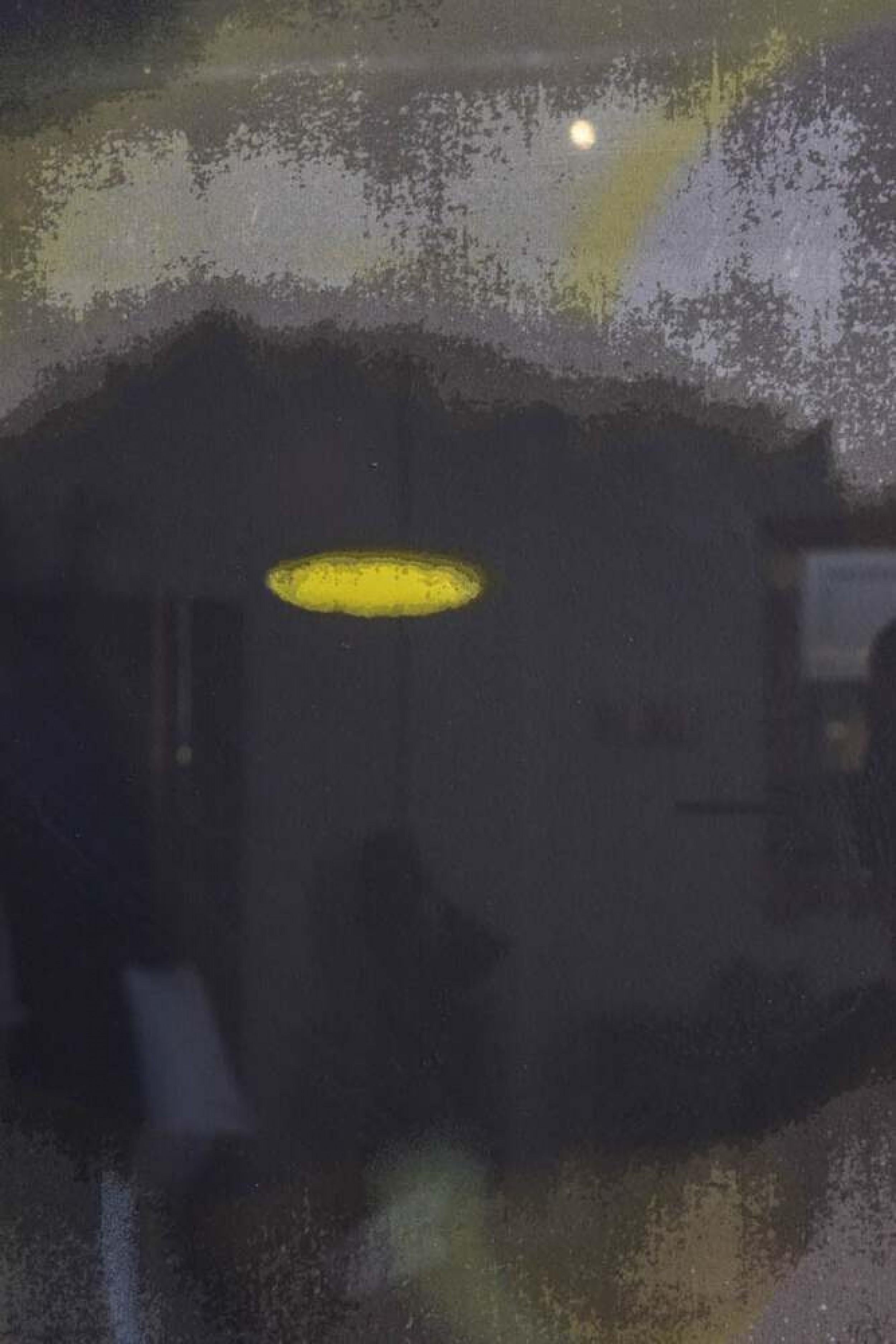 Ross Bleckner Amerikanischer gerahmter abstrakter Siebdruck auf Papier aus der Mitte des Jahrhunderts (amerikanisch) im Angebot
