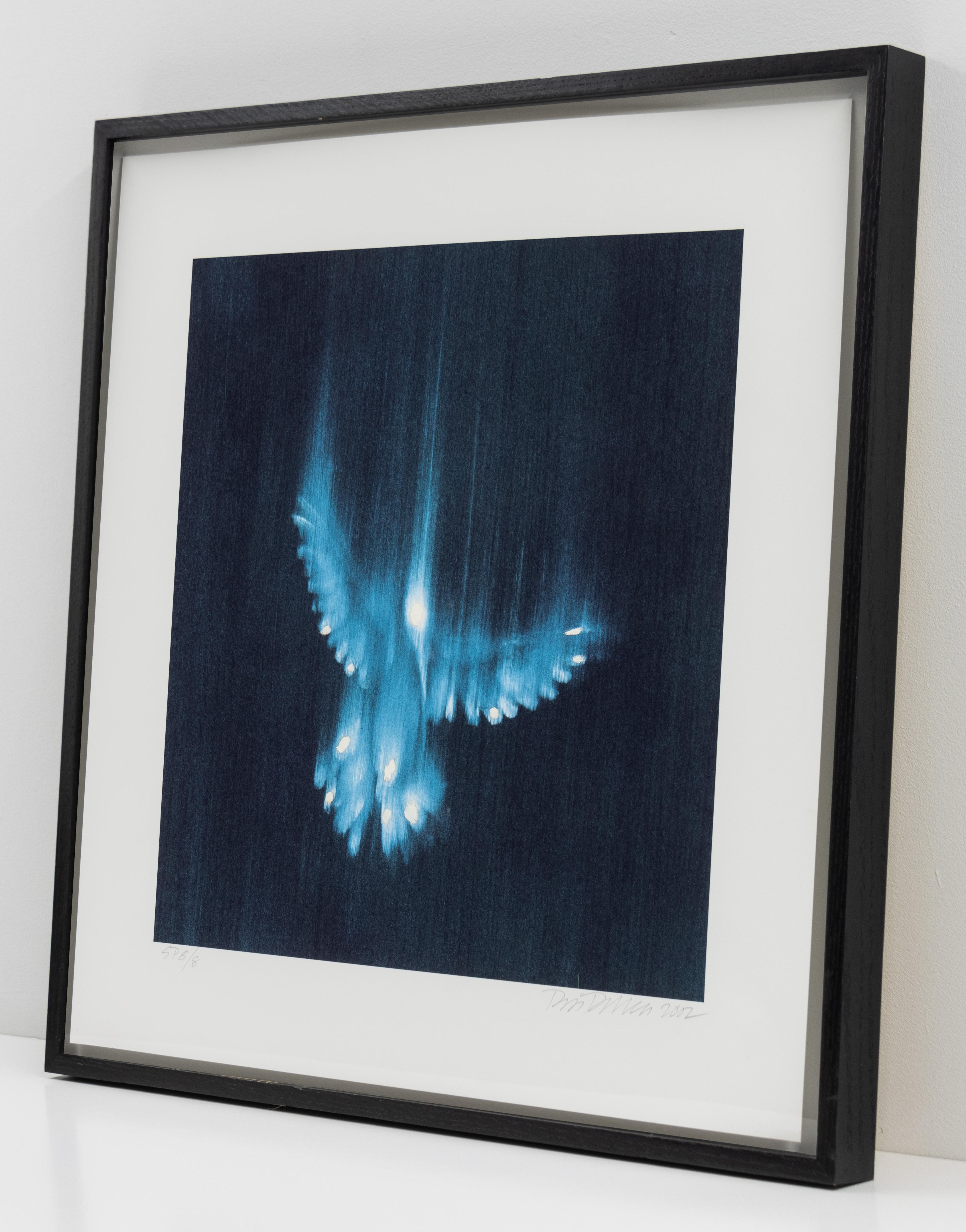 This is a hand-painted digital inkjet print by the artist Ross Bleckner.

The piece presents the blurred image of a falling blue bird.

