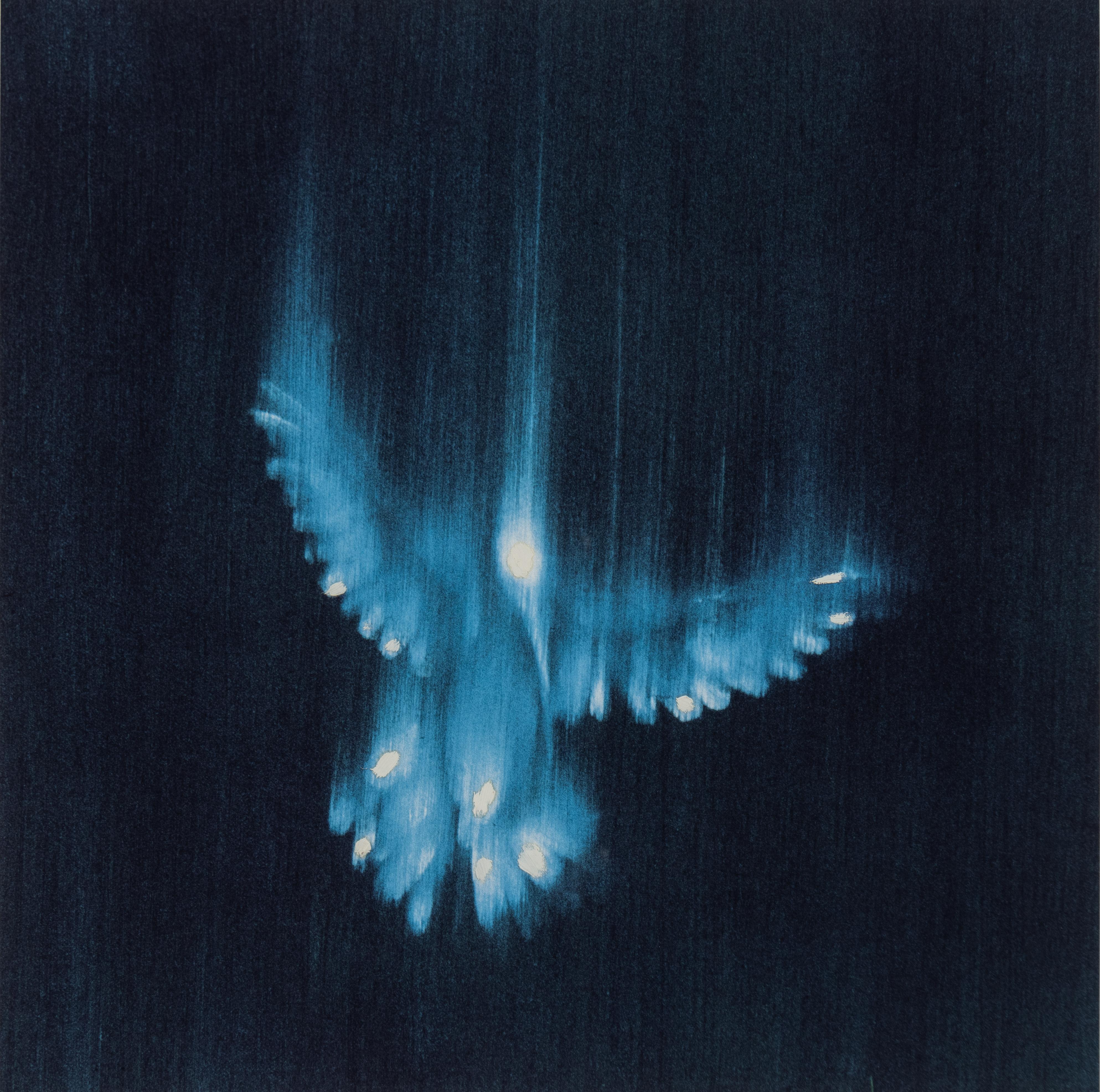 Falling Birds, 1 - Mixed Media Art by Ross Bleckner