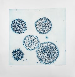 "Cluster"