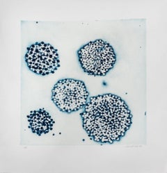 "Cluster"