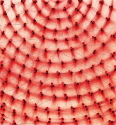 Ross Bleckner, Dome (Red), Archival Pigment Print, 2017