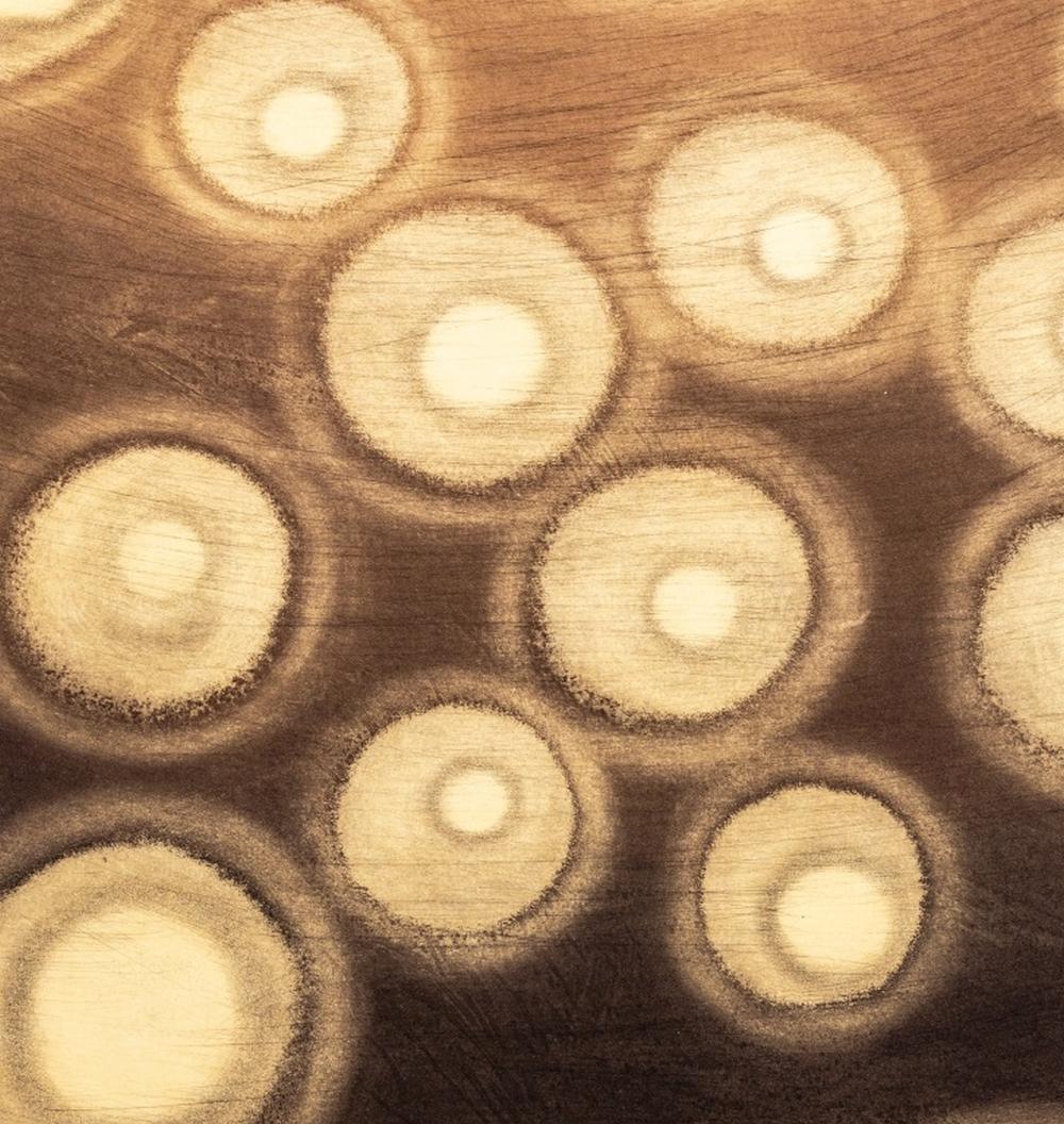 Ross Bleckner 