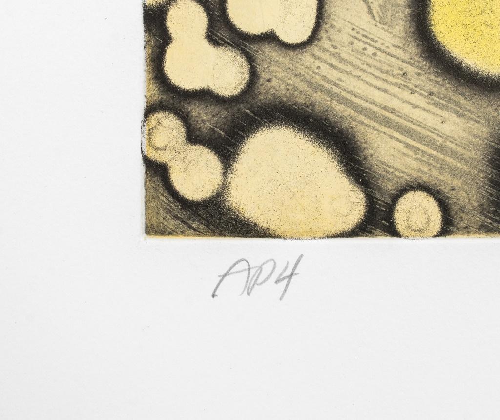 Ross Bleckner Etching For Sale 2