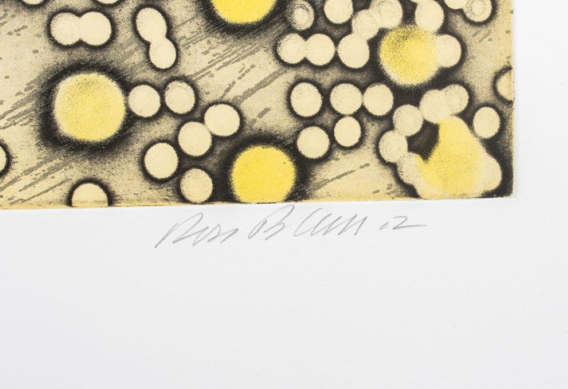 Ross Bleckner Etching For Sale 3