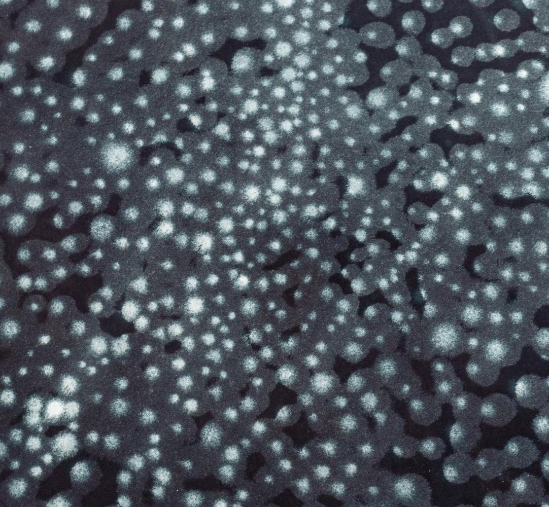 Ross Bleckner „Pathways“ Radierung und Aquatinta im Angebot 2