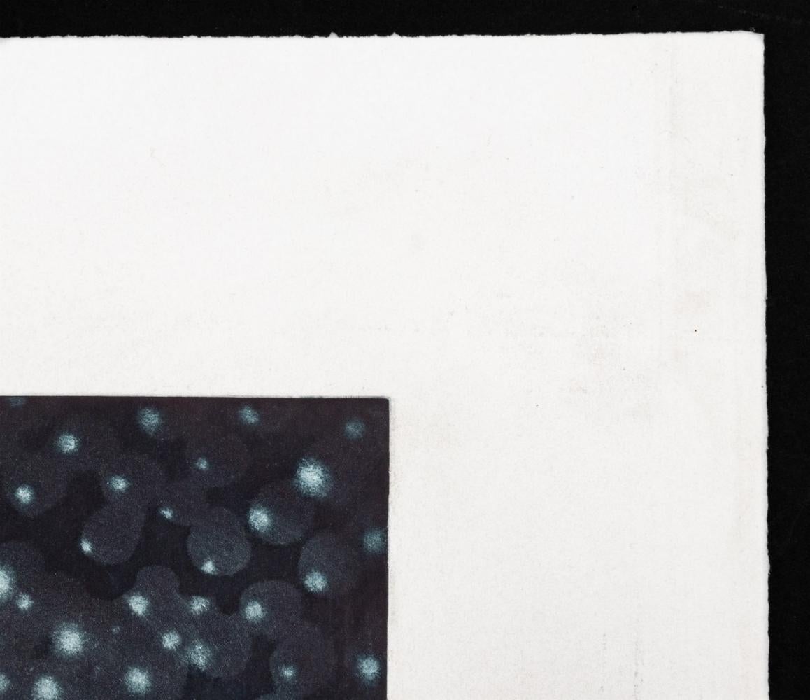 Ross Bleckner „Pathways“ Radierung und Aquatinta im Angebot 3