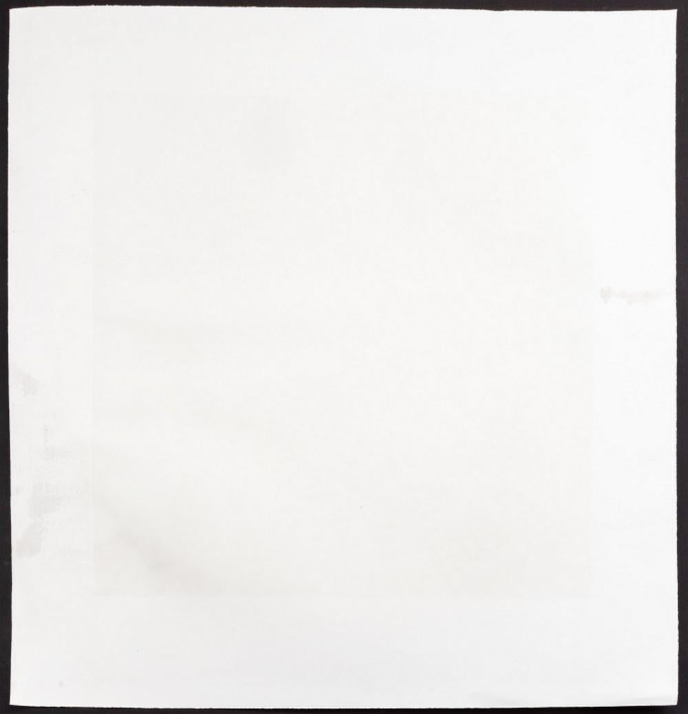 Ross Bleckner „Pathways“ Radierung und Aquatinta im Angebot 5