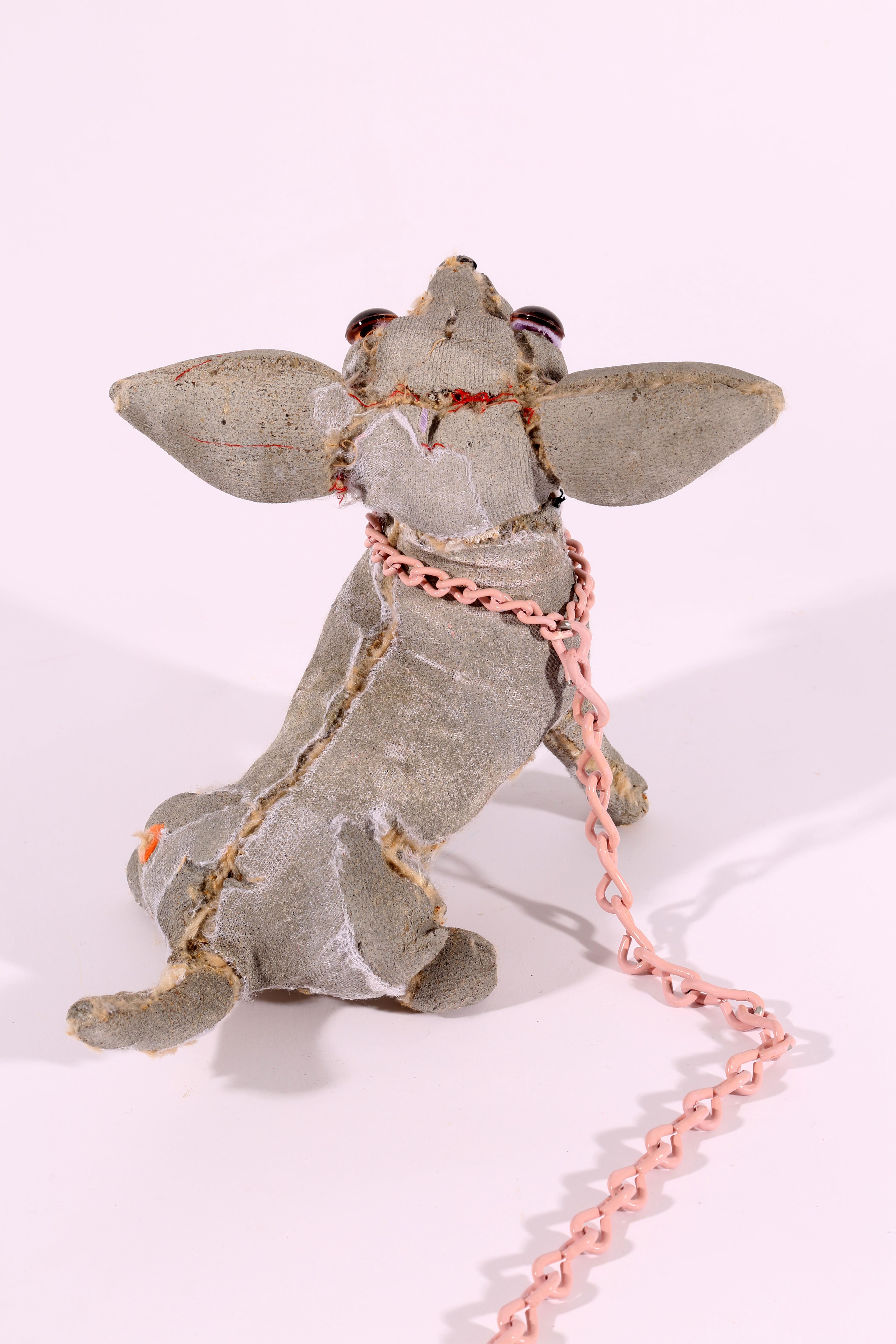 Chihuahua with Pink Chain For Sale 2