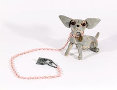 Chihuahua avec chaîne rose 