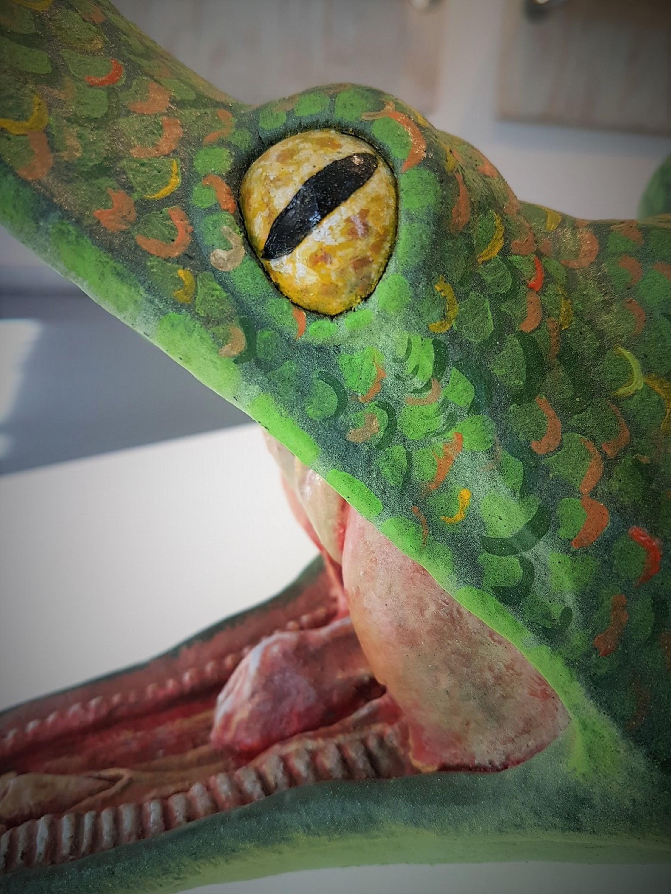 Serpente in vendita 3