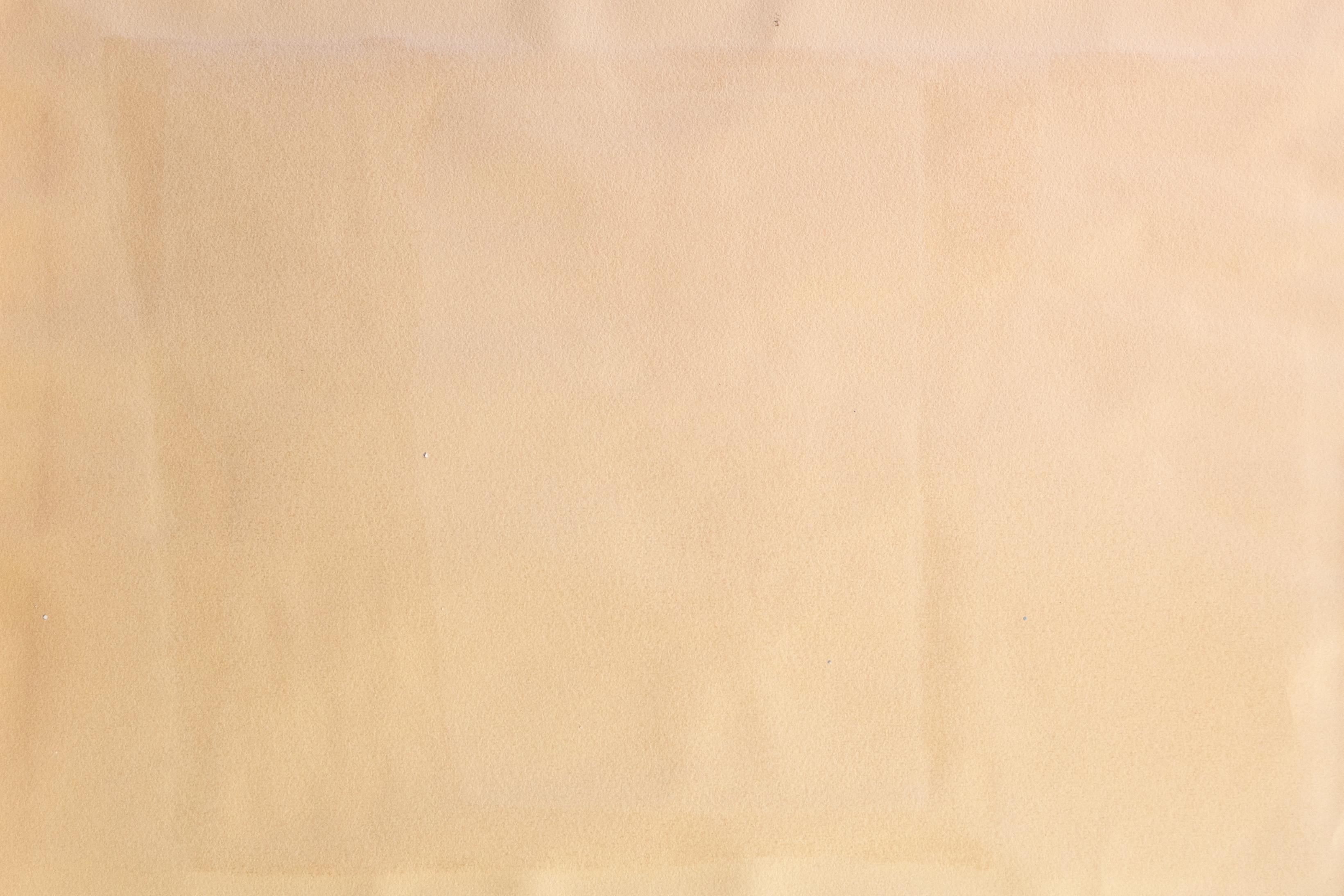 'E Pluribus Unum', Modernist Silk Screen, Walt Disney, San Miguel de Allende For Sale 5