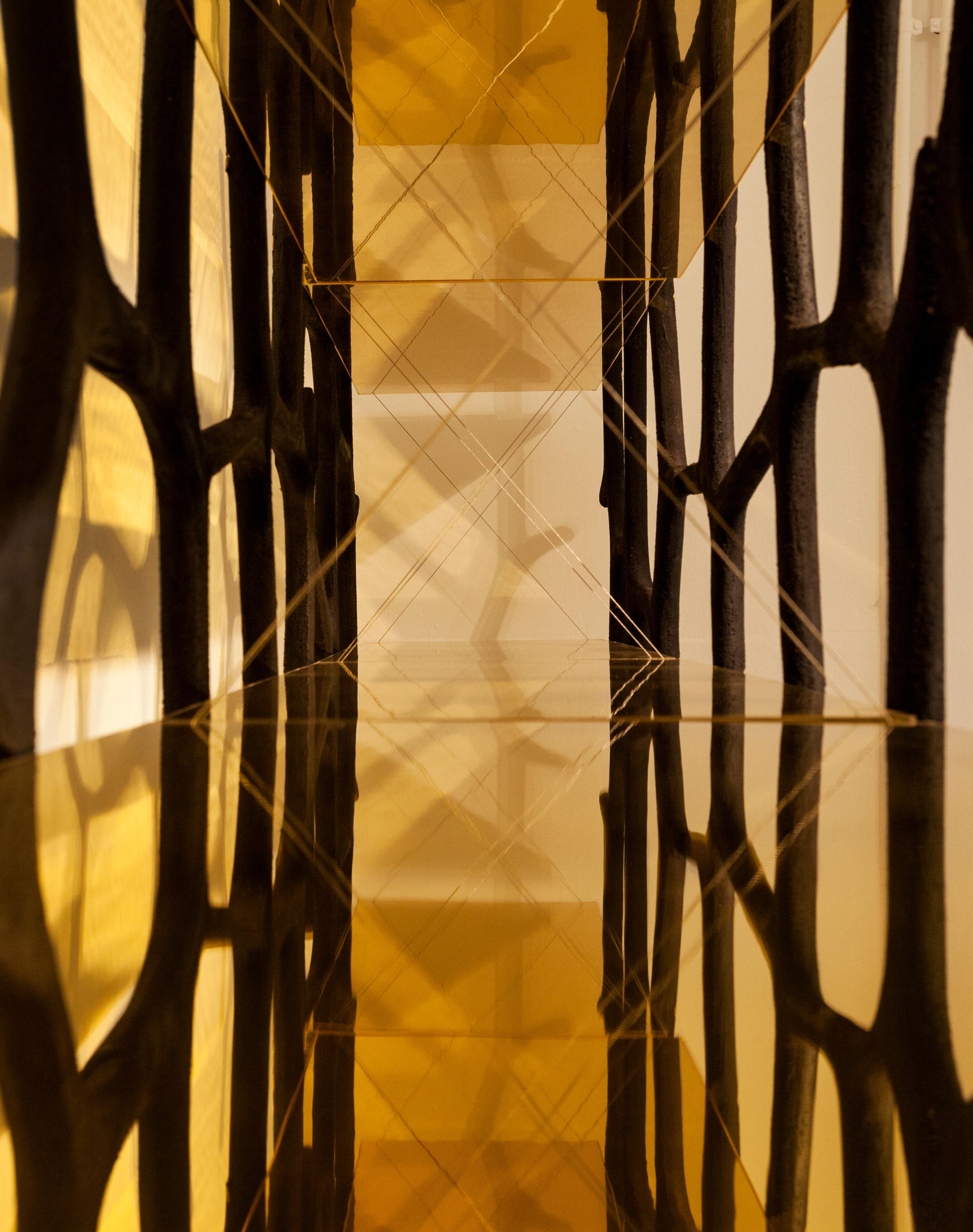 Rossana Orlandi Aqua Shelf A in Mirrored Gold by Francesco Messina for Cypraea For Sale 5