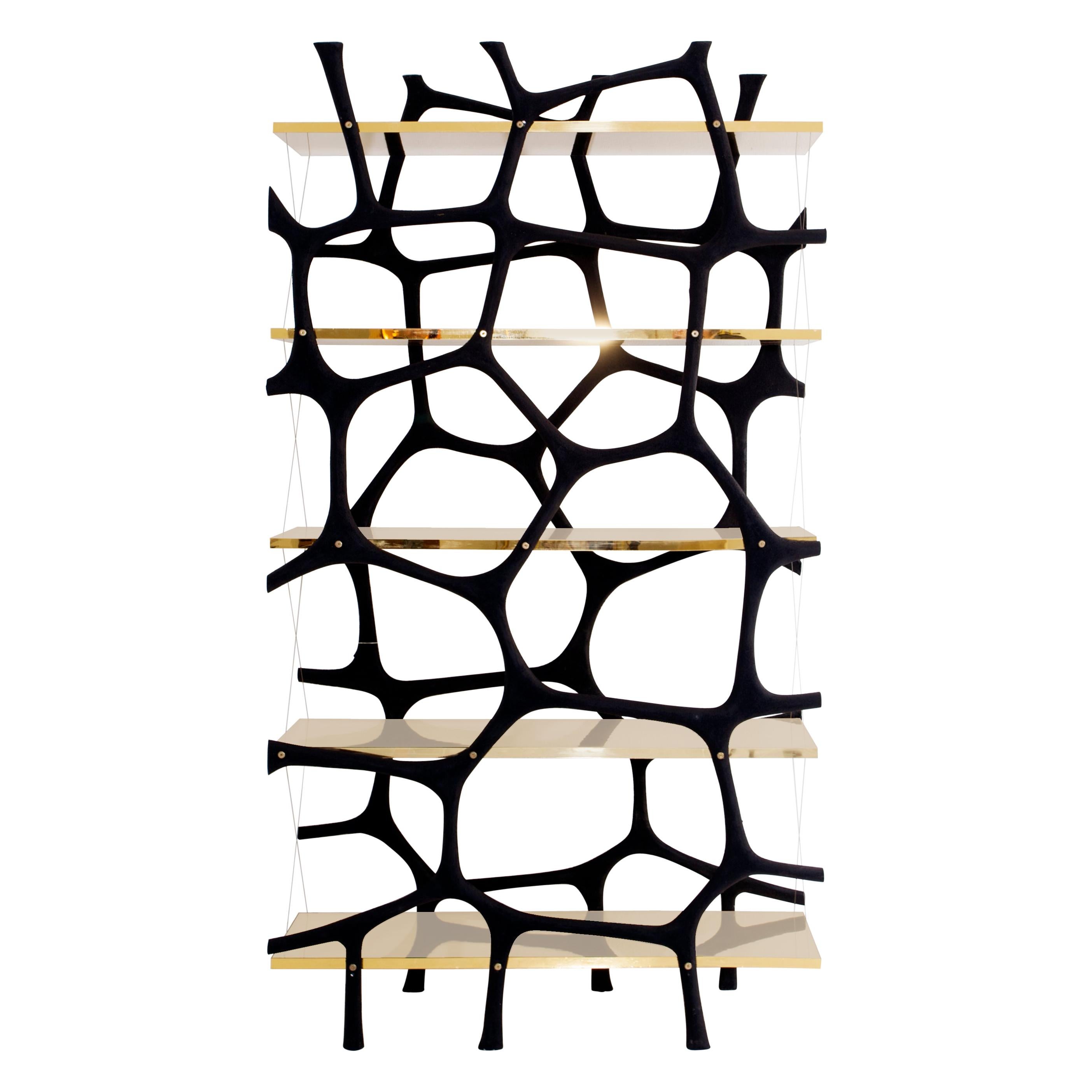 Rossana Orlandi Aqua Shelf B in Mirrored Gold by Francesco Messina for Cypraea