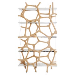 Rossana Orlandi Aqua Shelf C in Argento Specchiato di Francesco Messina per Cypraea