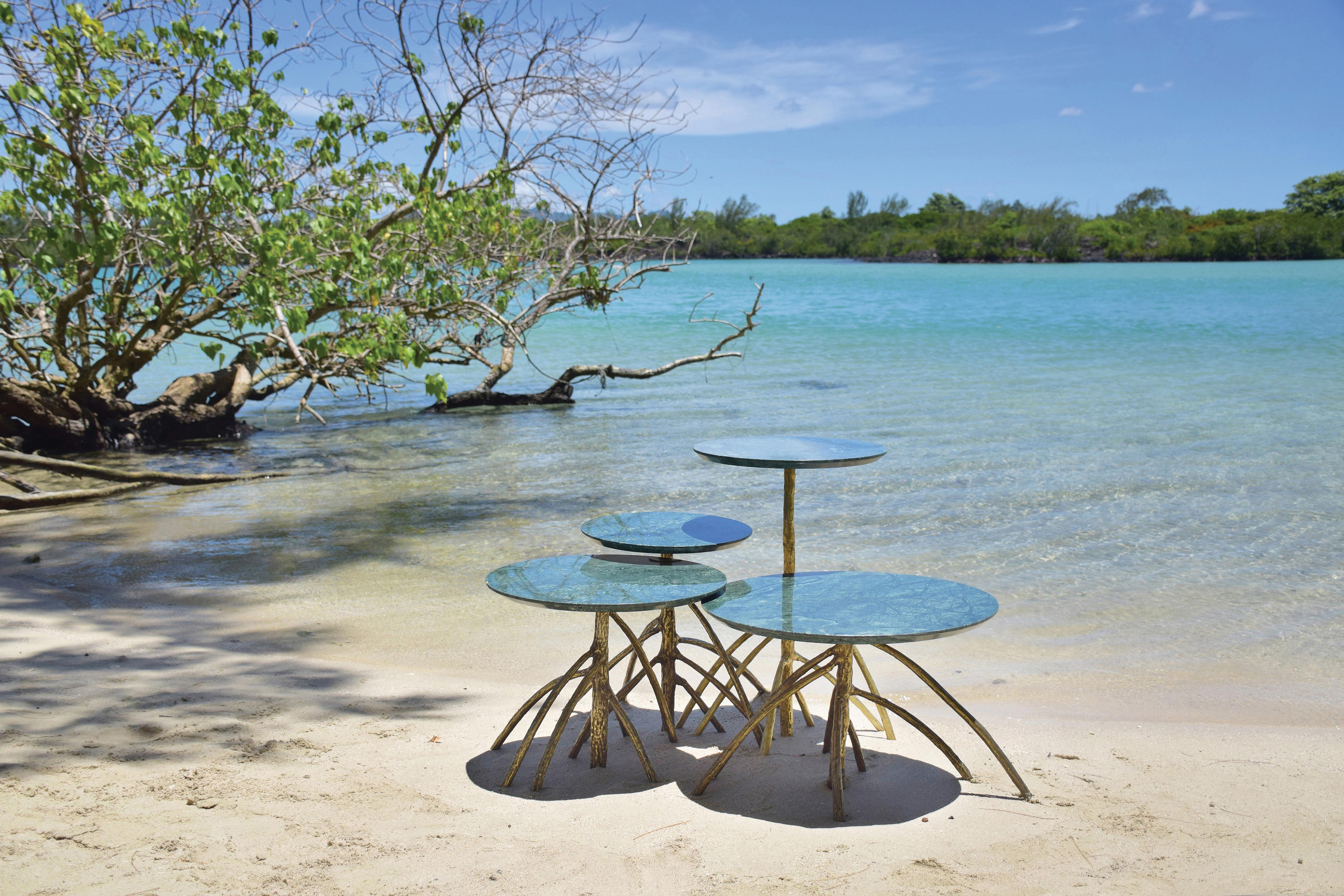 Designed by Francesco Maria Messina

Set of four low tables with green marble tops and legs in solid bronze hand casted from real mangrovia trees.

Naturae collection is an ode to the endemic nature of Mauritius. The pieces that are included in