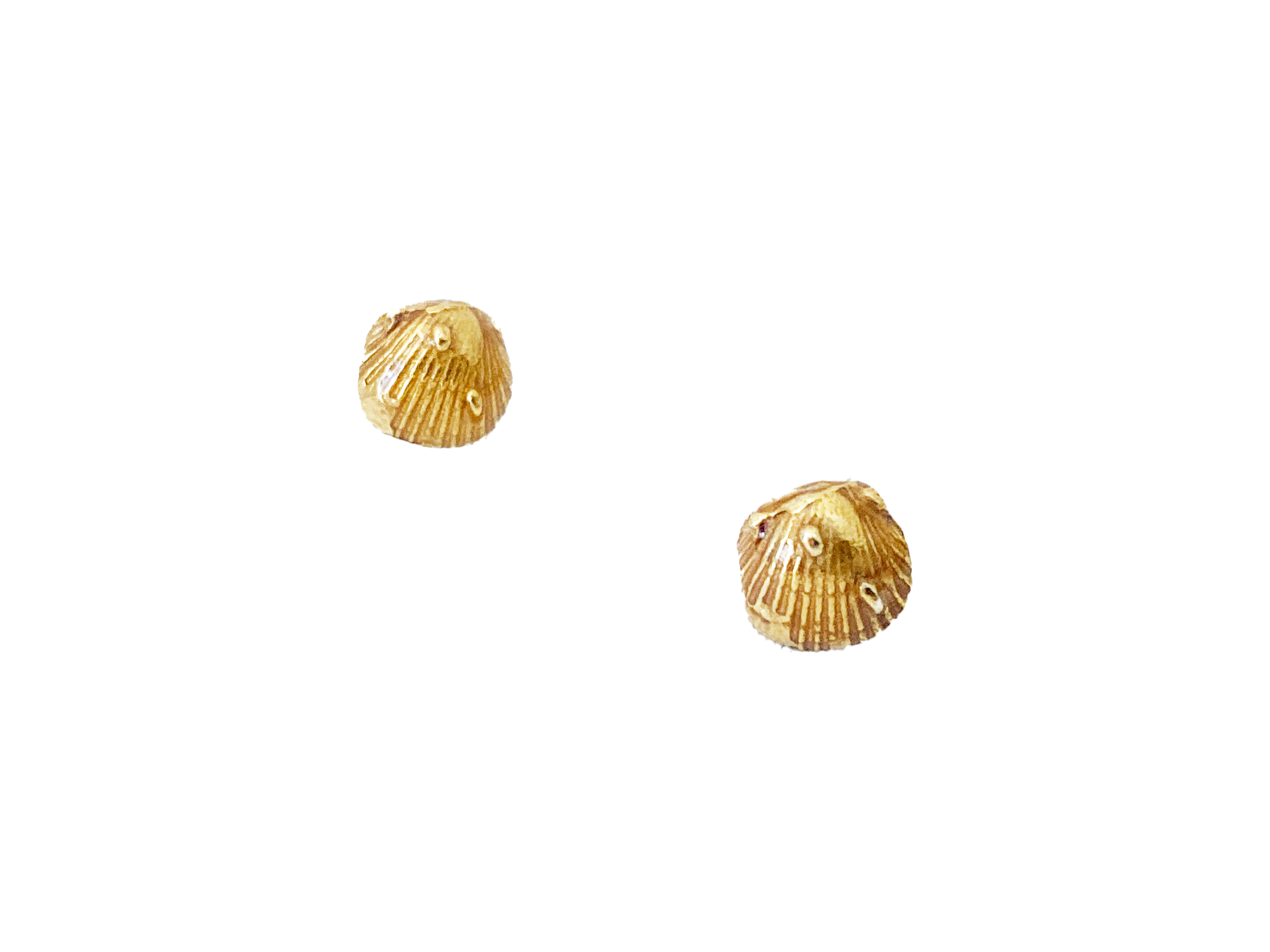 da uomo o donna Rossella Ugolini Orecchini Minimal Amalfi in oro 18 carati con piccola conchiglia in vendita