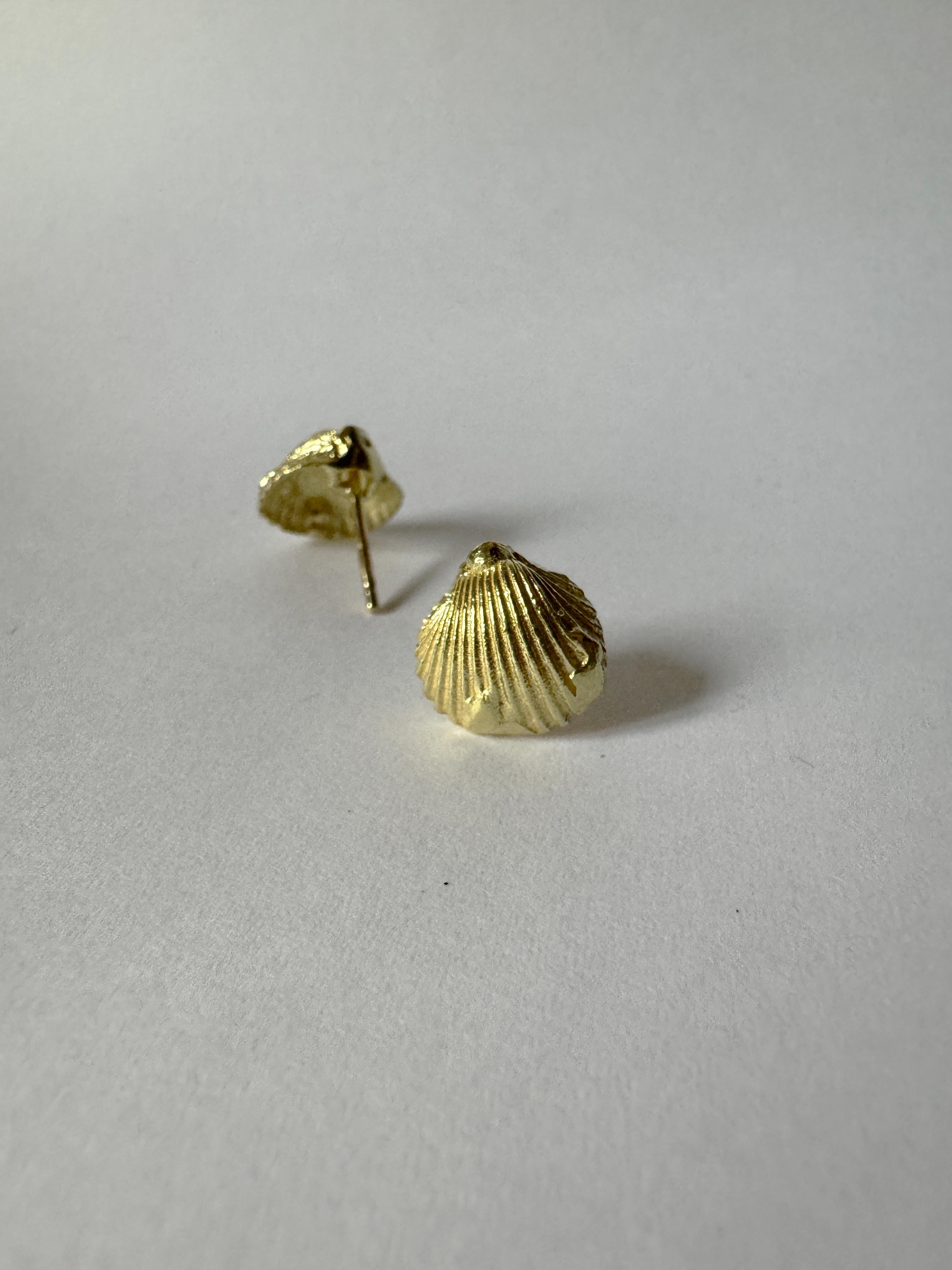 Rossella Ugolini, clous d'oreilles unisexe en or jaune 18 carats avec coquillages en vente 5