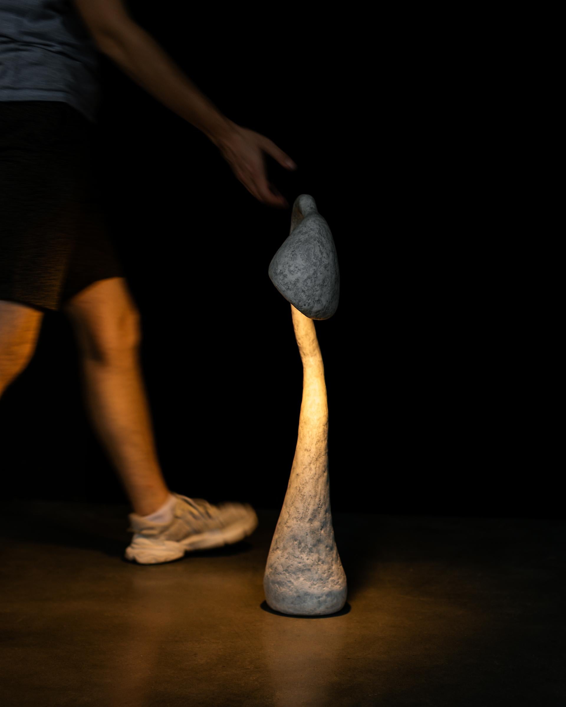 Metal ROSTOCKI Contemporary Table Lamp Series, Organic Bionic Design, Recycled Paper For Sale