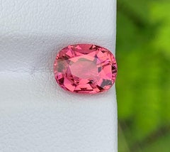 Rosafarbener Turmalin Edelstein: Natürlicher Oktober-Geburtsstein