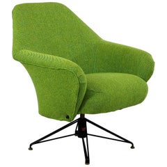 Rotating Armchair by Osvaldo Borsani, Tecno