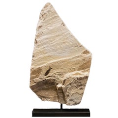 Rotating Fossilised Fish Sculpture