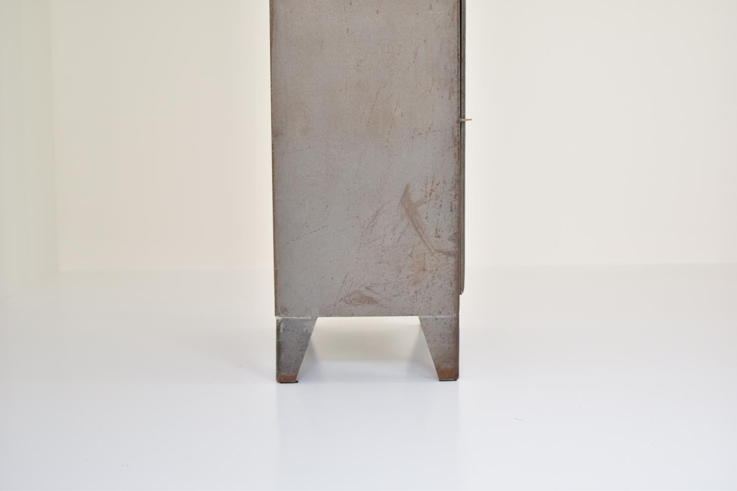 Rough Patinated Industrial Vitrine Cabinet, France, 1950s 3