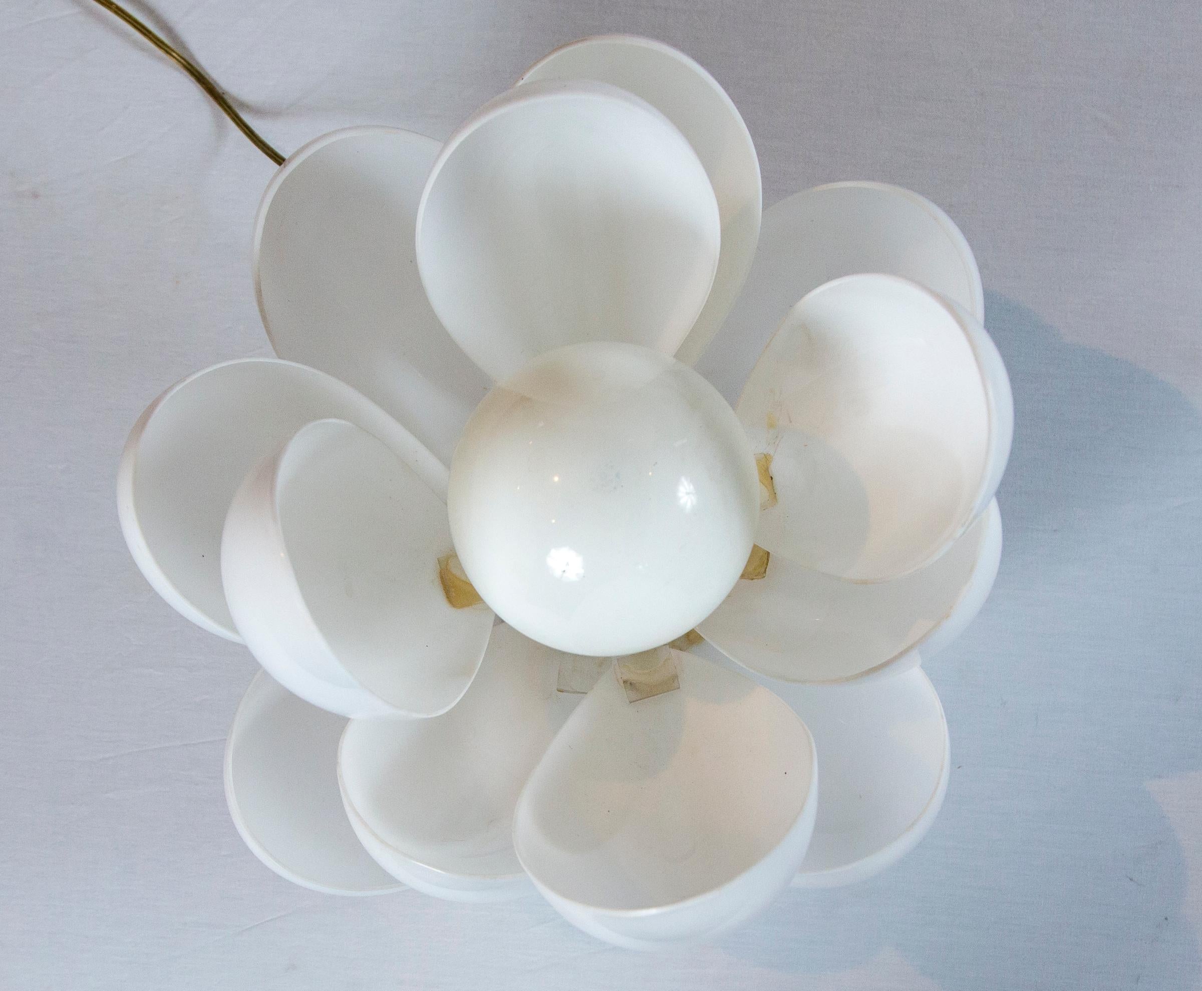 Canadian Rougier Lucite Lotus Lamp