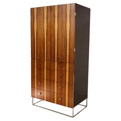 Rougier Vintage Mid Century Modern Rosewood and Chrome Armoire c. 1960s