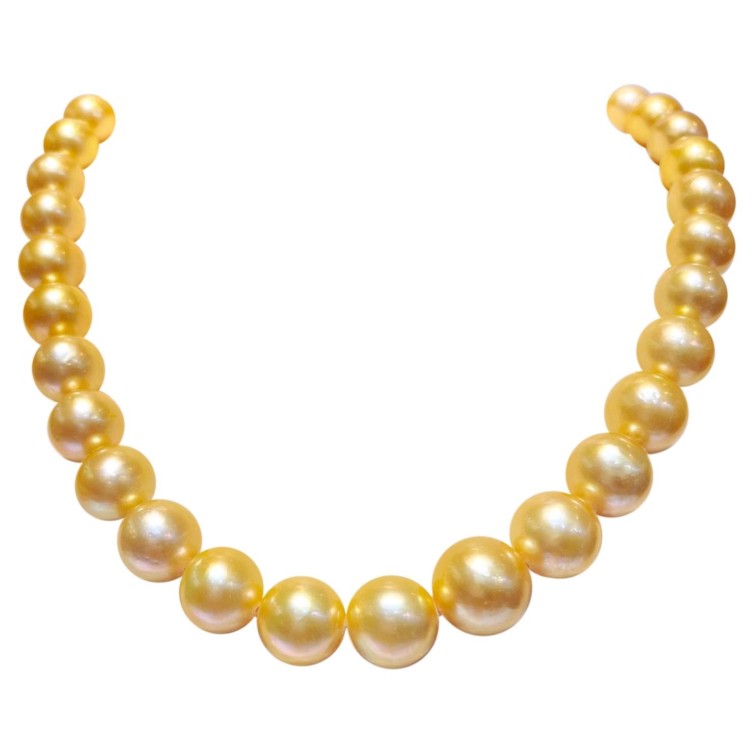 Round Golden South Sea Pearl 37pcs Will Be More When Strung For Sale at ...