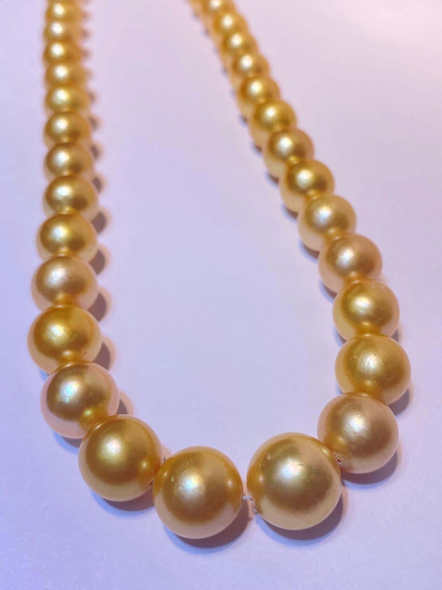 Round 10-12mm golden south sea pearl 37pcs 15.8inches will be more when strung #JS16
