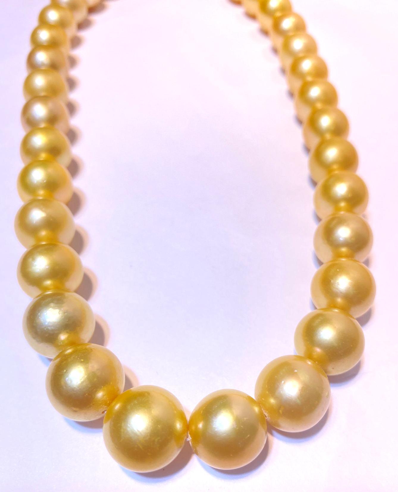 Round 12-14mm golden south sea pearl 33pcs 16inches will be more when strung #JS13
