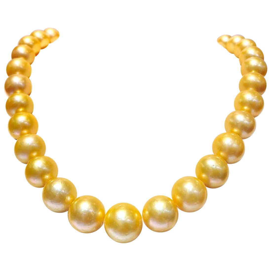 Round Golden South Sea Pearl 33pcs Will Be More When Strung For Sale