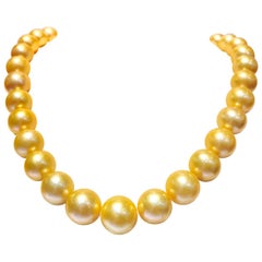 Round Golden South Sea Pearl 33pcs Will Be More When Strung