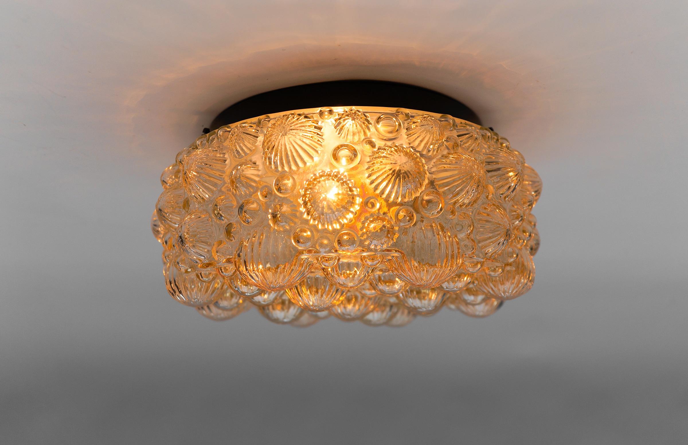 Round Amber Mid-Century Modern 3D Fossil Shell Shape Flush Mount Lamp, 1960s  
 
Executed in ice glass and metal. 

This lamp need 1 x E14 / E15 Edison screw fit bulb is wired, in working condition and runs both on 110 / 230 volt. Dimmable.

Our