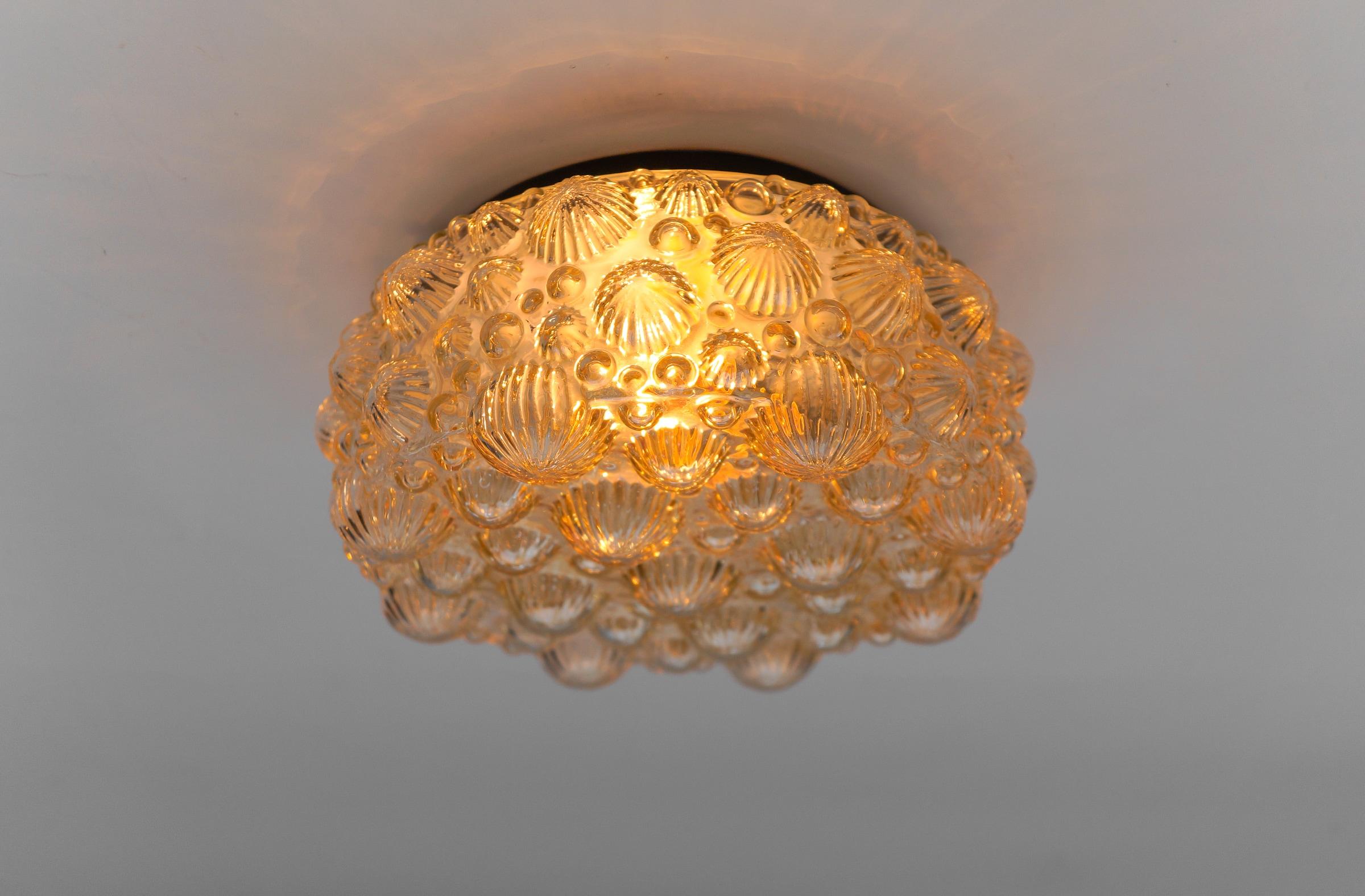 Round Amber Mid-Century Modern 3D Fossil Shell Shape Flush Mount Lamp, 1960s   In Good Condition For Sale In Nürnberg, Bayern