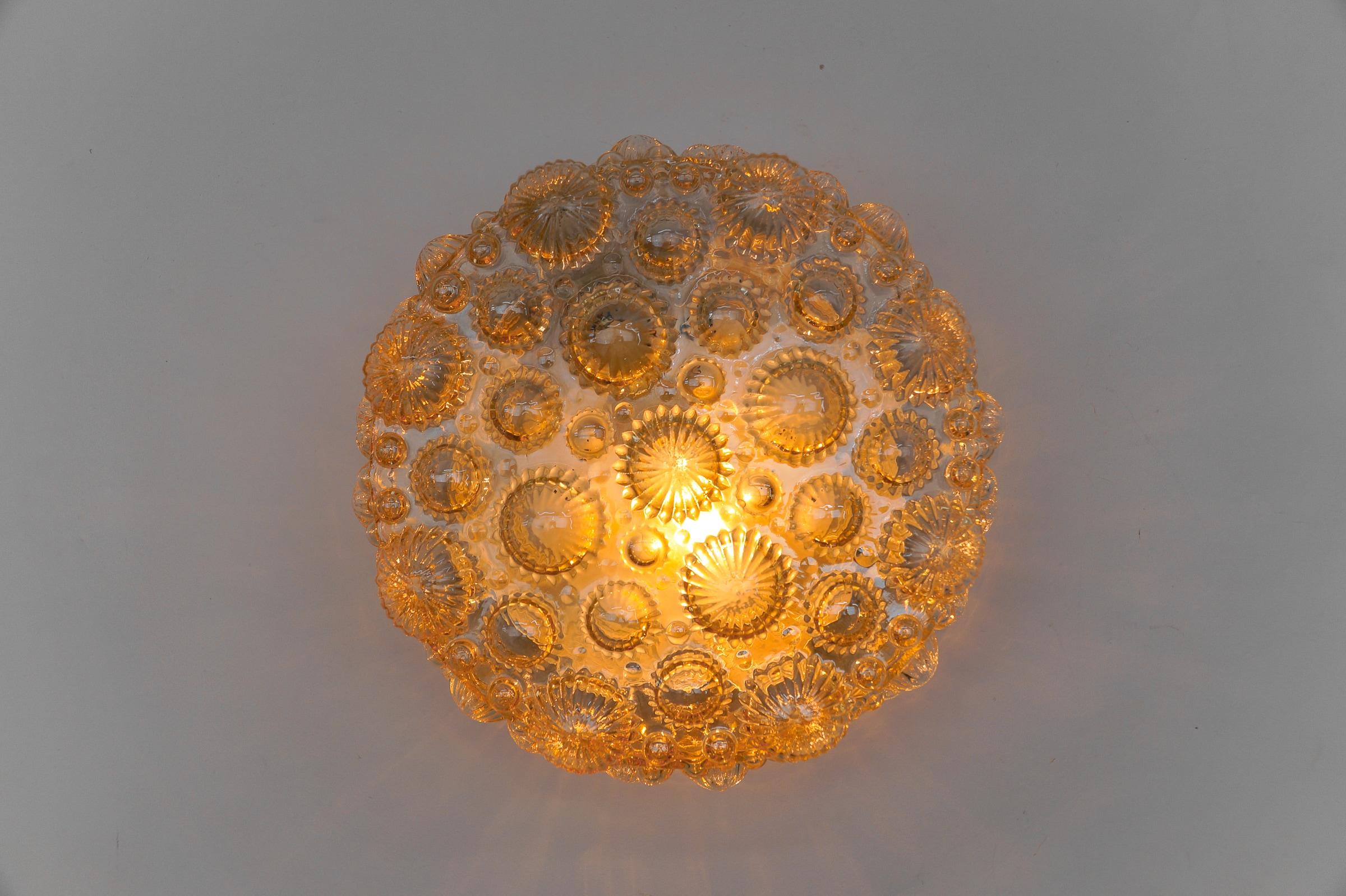 Round Amber Mid-Century Modern 3D Fossil Shell Shape Flush Mount Lamp, 1960s   For Sale 2