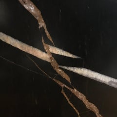 Round Black Marble Side Table, Portugal, Contemporary