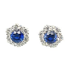 Runder blauer Saphir und Diamant Halo 18k Weißgold Ohrstecker Post Ohrringe