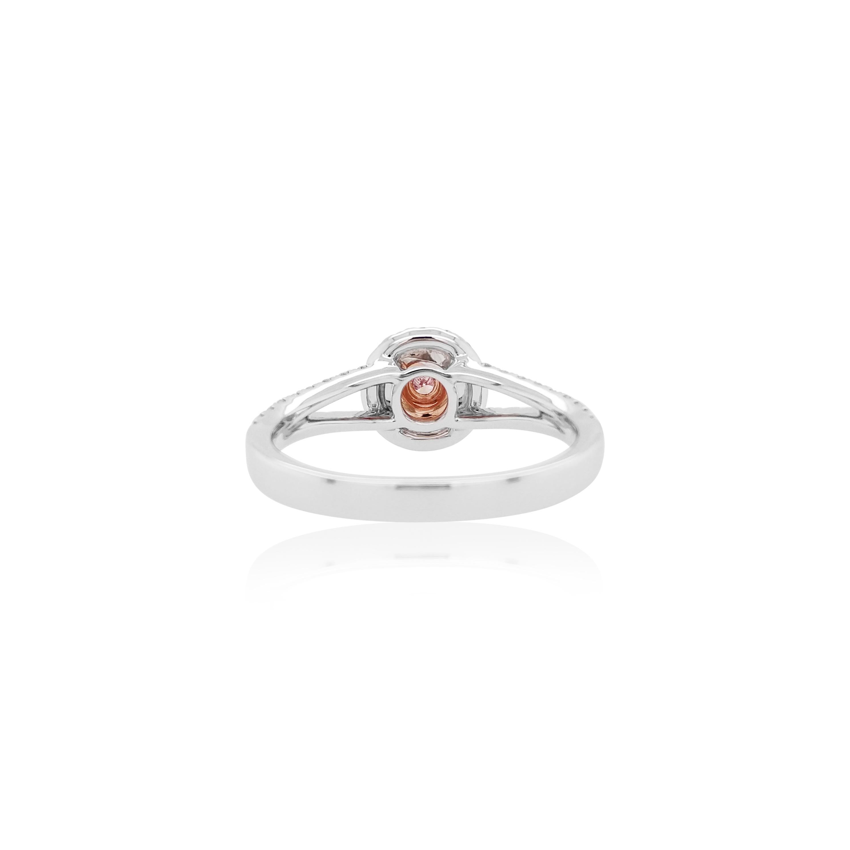 Beautiful Pink diamond ring with Especially assorted Pink diamonds from Argyle Mines in Australia, a special edition given the rarity of Natural pink diamonds.

Round Brilliant Cut Natural Pink Diamonds - 0.15 cts
Round Brilliant Cut White Diamond -
