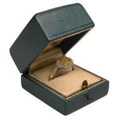 Anillos