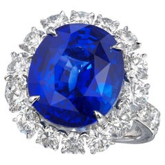 Round Brilliant Statement Royal Blue Sapphire 14K White Gold Elegant Sparkle