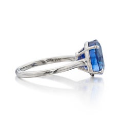Round Brilliant Statement Royal Blue Sapphire 14K White Gold Refined Light