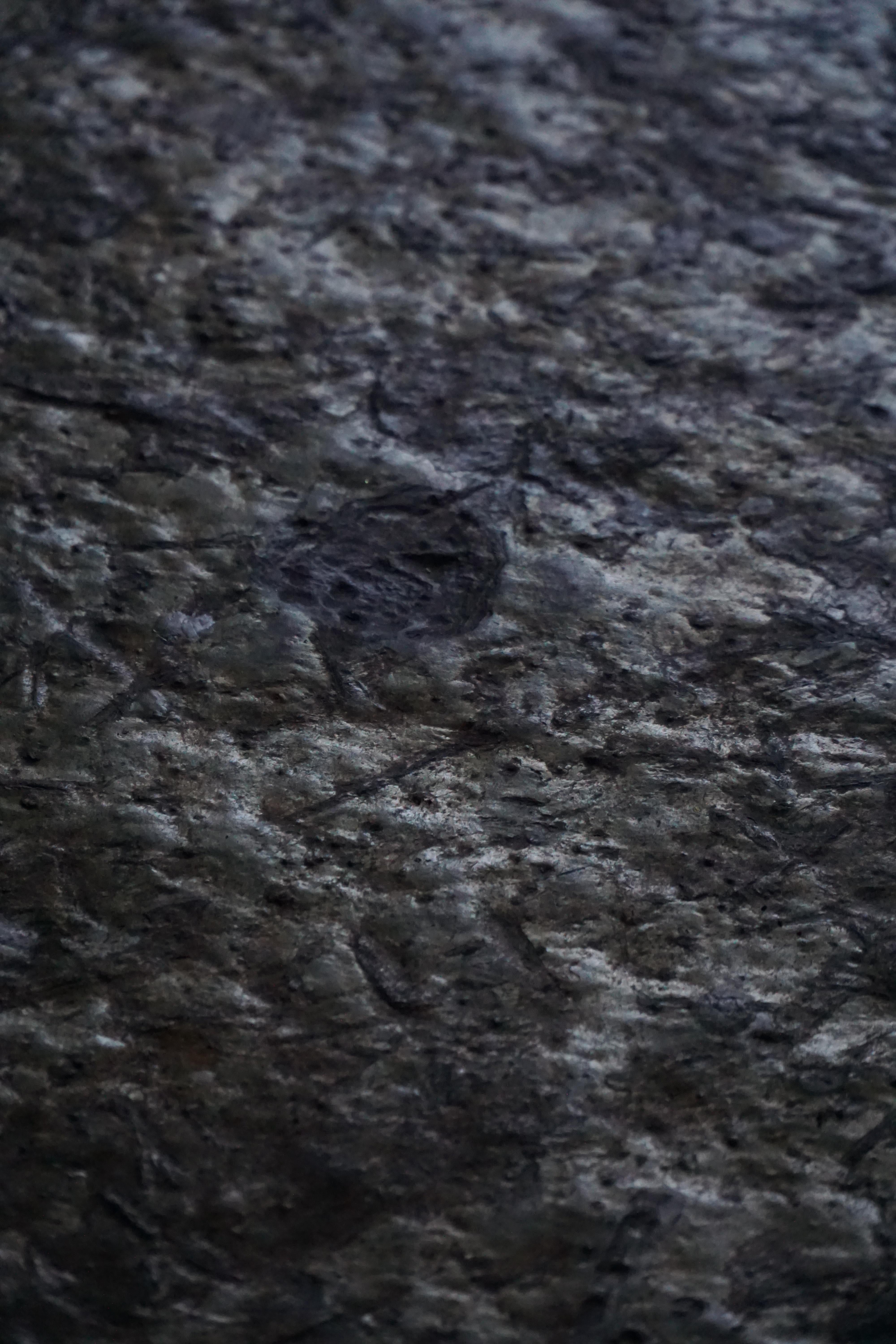 Pierre Round Brutalist Coffee Table in Stone & Steel, French Mid-Century Modern, 1970s en vente