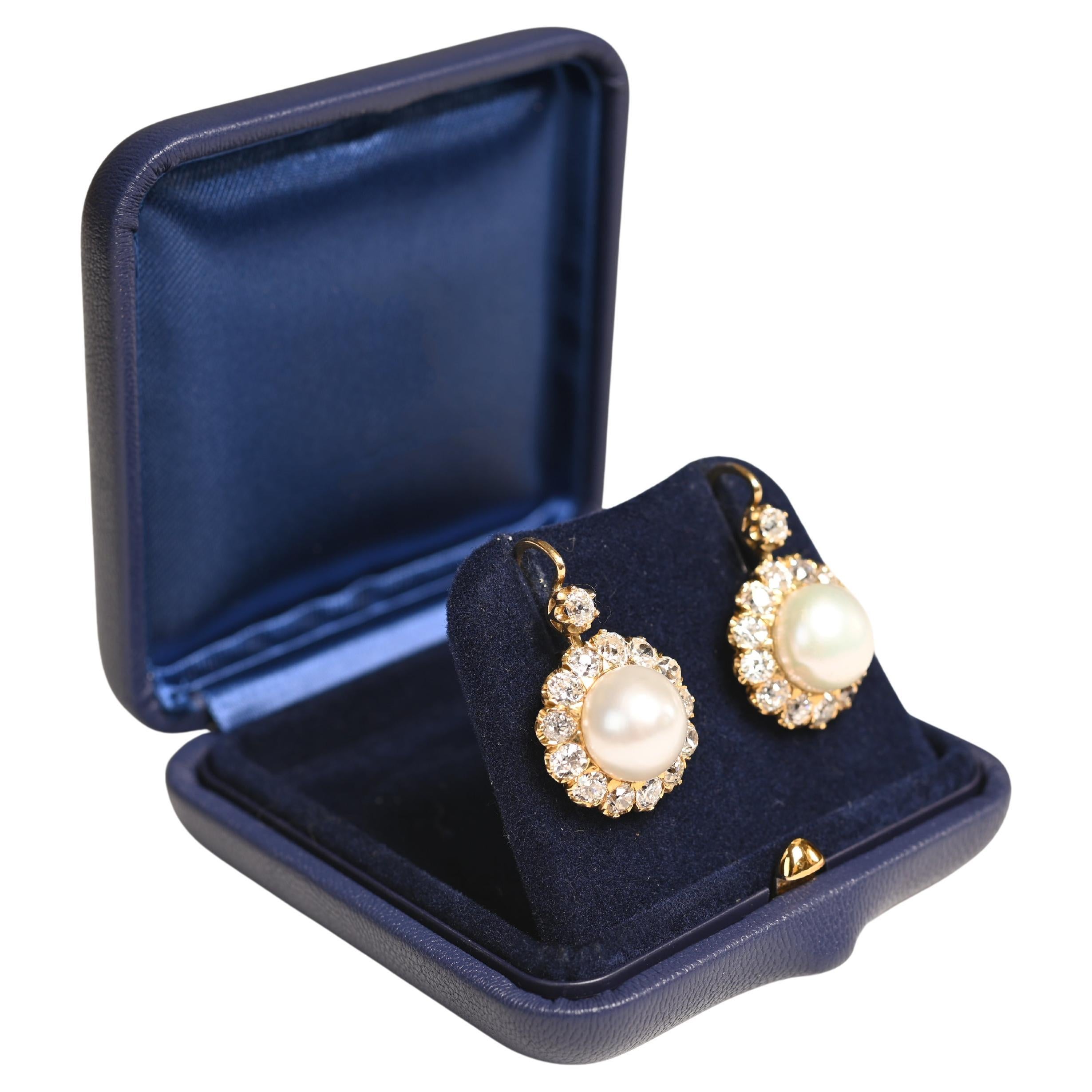 Runder Knopf Natürliche Salzwasserperlen-Ohrringe, Diamant-Cluster, 18k Gelbgold im Angebot