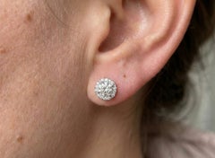 Tiffany & Co. D Color Internally Flawless Halo Stud Earrings in Platinum